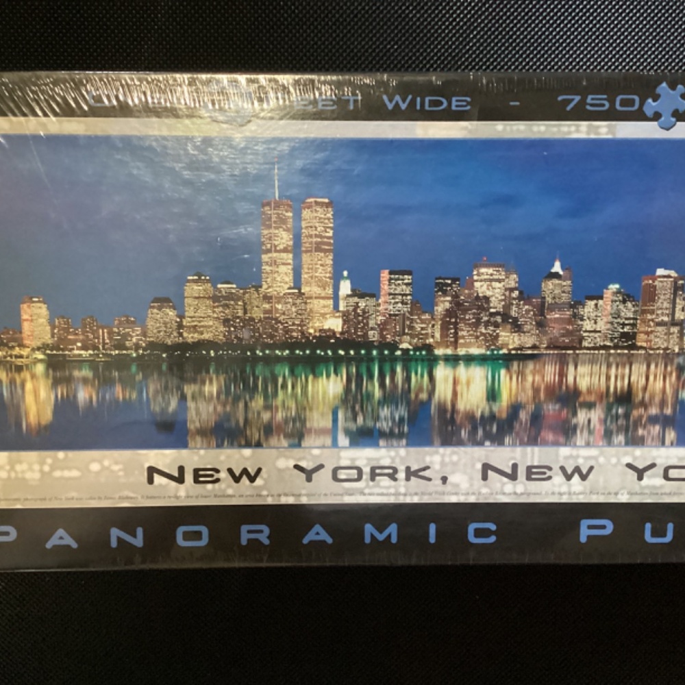 NEW YORK, NEW YORK City Panoramic Puzzle 🧩 750 piece - Picture 4 of 5